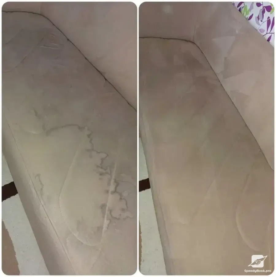 Professional cleaning and laundry of car showroom, interior detailing