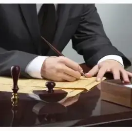 Lawyer services - criminal and civil law