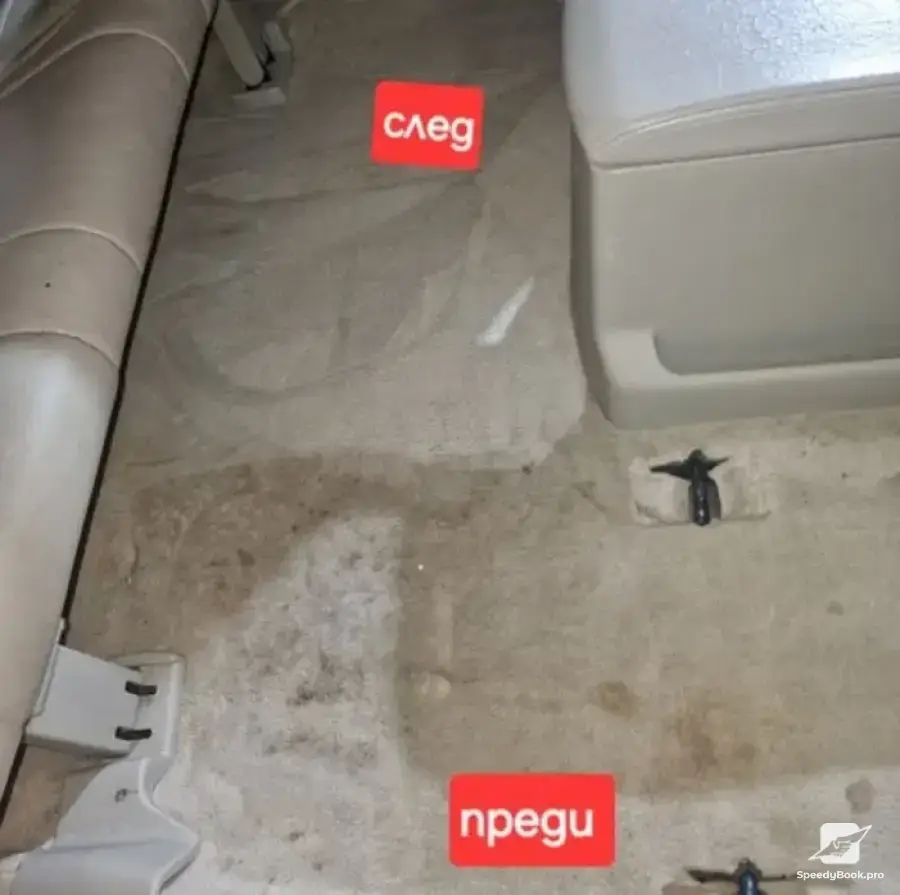 Professional cleaning, upholstery and interior washing of cars.