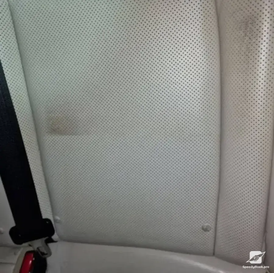 Professional cleaning, upholstery and interior washing of cars.