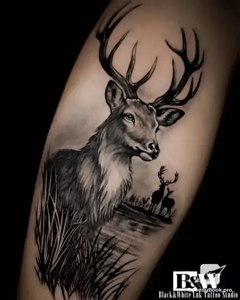 Tattoo Varna, студио за татуировки Варна, татуси, tattoo studio, тату