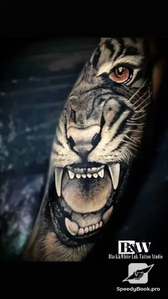 Tattoo Varna, студио за татуировки Варна, татуси, tattoo studio, тату