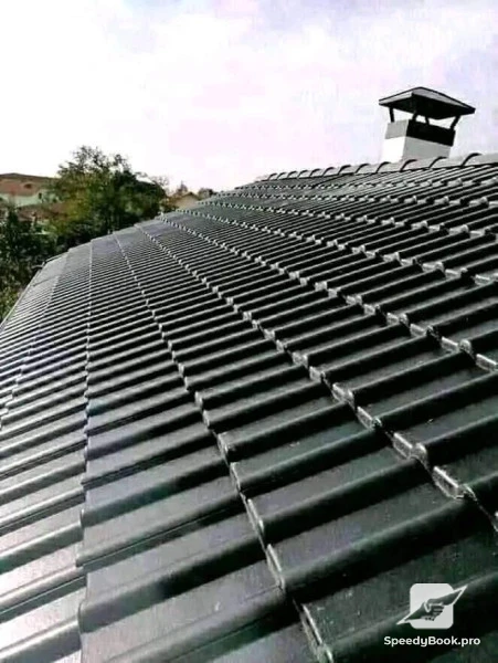 Roof Repair - Sila Stroy