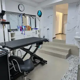 Груминг салон DOG STUDIO Бургас