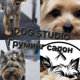 Груминг-салон DOG STUDIO Бургас
