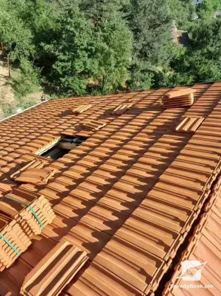 Repairs and activities by TC BUILDING 