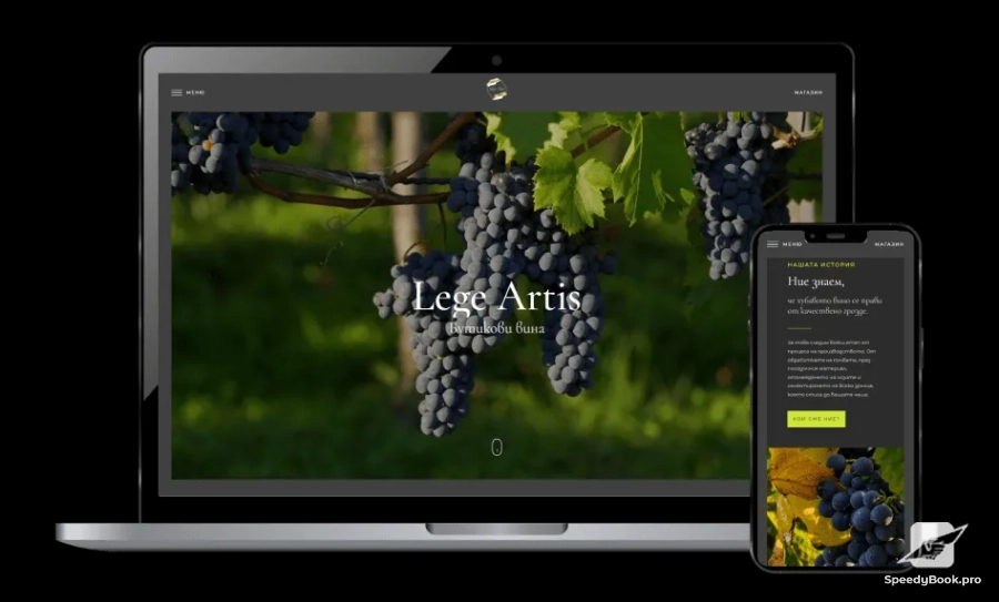 Website development