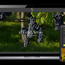 Website development