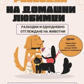Разхождане на кучета!