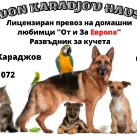 Лицензированная перевозка