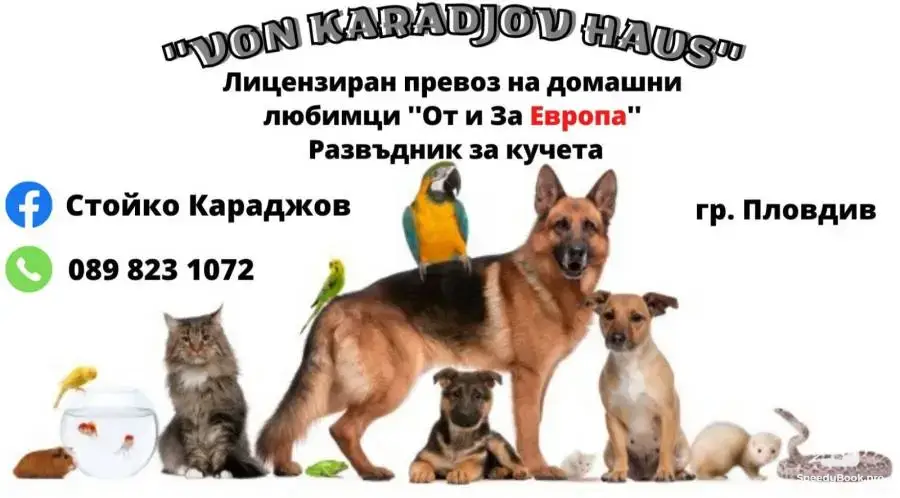 Лицензированная перевозка