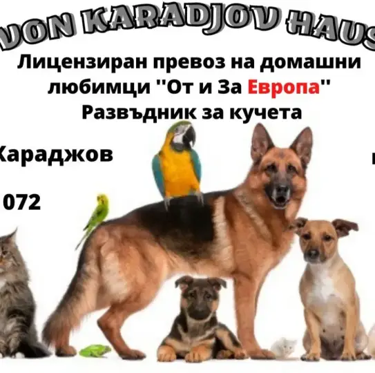 Лицензированная перевозка