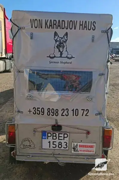 Лицензиран превоз