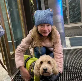 Dog walking Sofia, dog walking anytime with guarantee