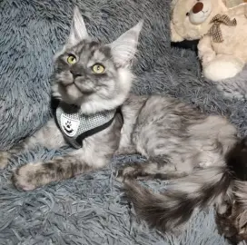 Хотел за вашите домашни любимци