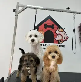 Grooming services Animal House Plovdiv