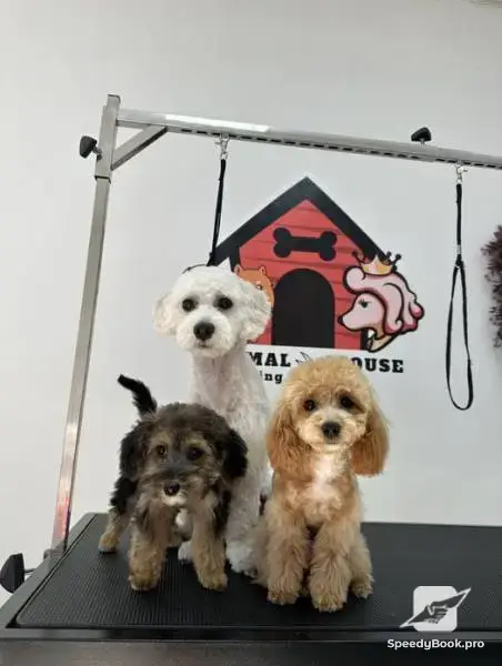 Груминг услуги Animal House пловдив