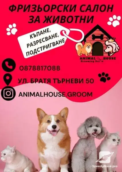 Груминг услуги Animal House пловдив