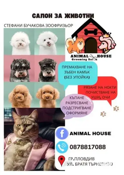 Grooming services Animal House Plovdiv