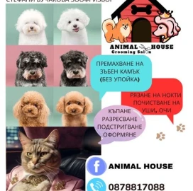 Груминг услуги Animal House пловдив