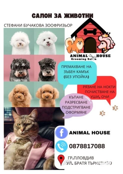 Груминг услуги Animal House пловдив