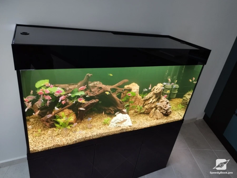 Manufacturing of Aquariums (cabinets and covers)
