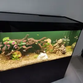 Manufacturing of Aquariums (cabinets and covers)