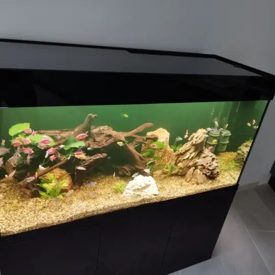 Производство аквариумов (тумбы и крышки)