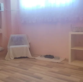 Отель для кошек в Пловдиве