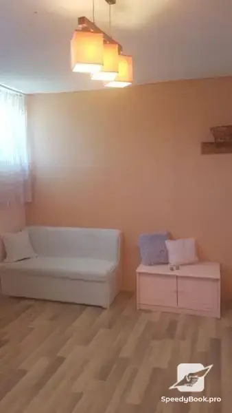 Хотел за котки в Пловдив