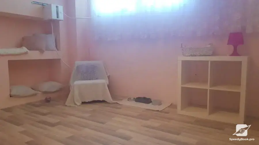 Хотел за котки в Пловдив