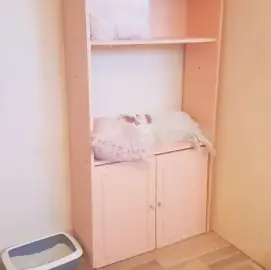 Hotel for cats in Plovdiv