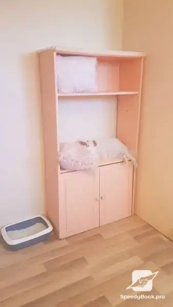 Хотел за котки в Пловдив