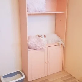 Отель для кошек в Пловдиве