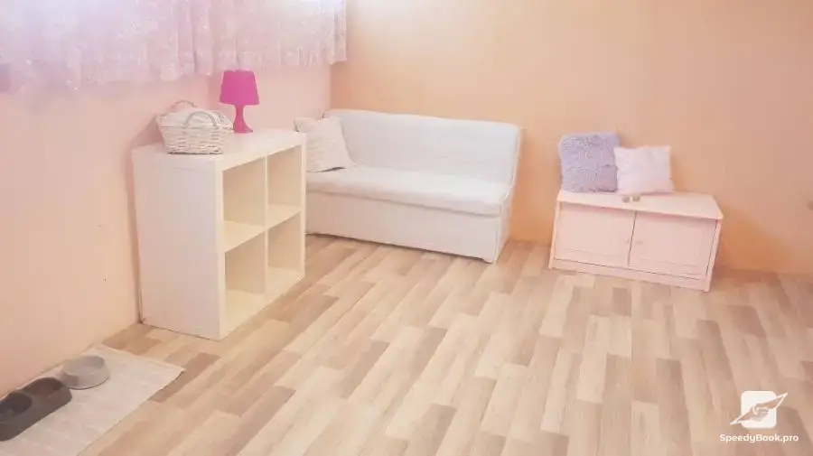 Хотел за котки в Пловдив