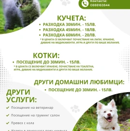 Разходка на кучета, грижи за котки и други домашни любимци. Цени.
