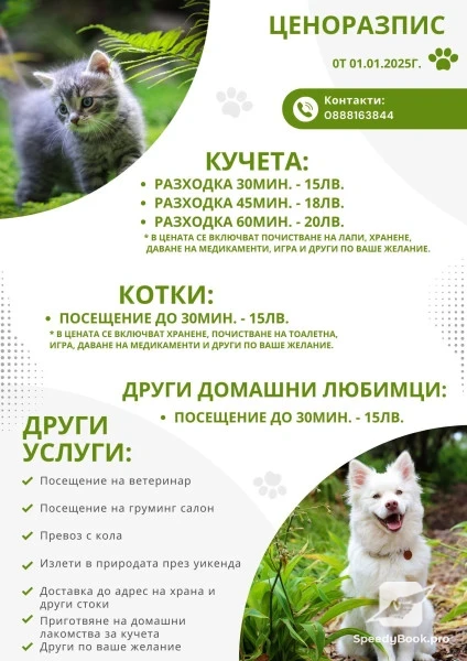Разходка на кучета, грижи за котки и други домашни любимци. Цени.