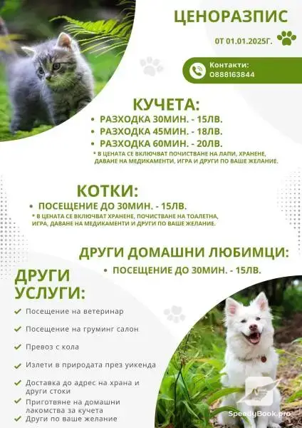 Разходка на кучета, грижи за котки и други домашни любимци. Цени.