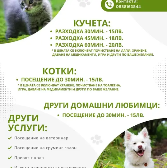 Выгул собак, уход за кошками и другими домашними животными. Цены.