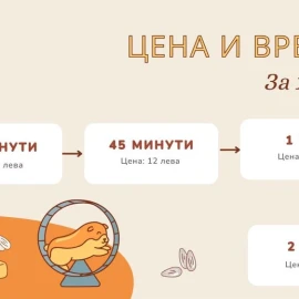 Разхождане на Кучета &amp; Хранене на Котки
