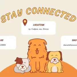 Разхождане на Кучета &amp; Хранене на Котки