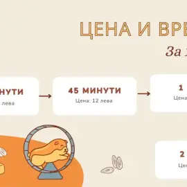 Разхождане на Кучета &amp; Хранене на Котки