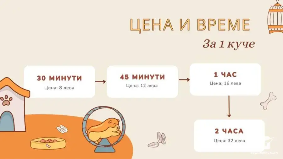 Разхождане на Кучета & Хранене на Котки