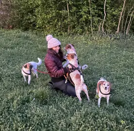 Dog walking, pet sitting at address and flowers etc.