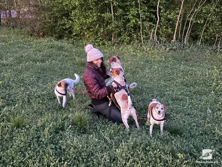 Dog walking, pet sitting at address and flowers etc.