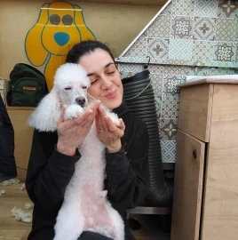 Наблюдение за собаками в домашних условиях