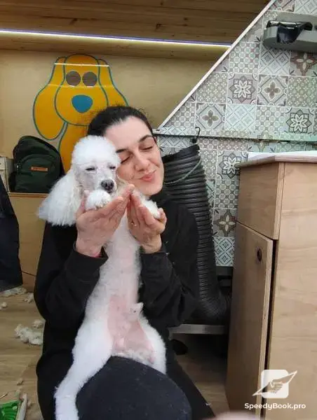 Гледане на кучета в домашна среда