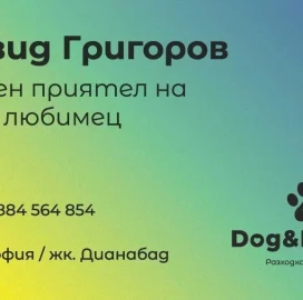 Выгул собак и кормление кошек