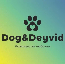 Выгул собак и кормление кошек