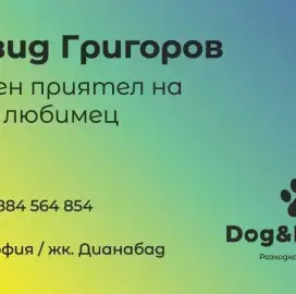 Разхождане на кучета и Хранене на котки